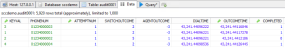 HeidiSQL - Audit Data